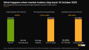 Bitcoin perpetual order-book liquidity, bid-ask spread and liquidation rate before and during the 10 October 2025 crypto crash